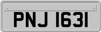 PNJ1631