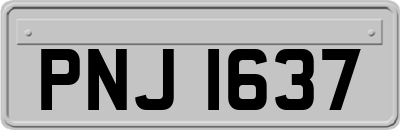 PNJ1637
