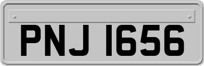 PNJ1656