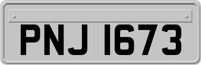 PNJ1673