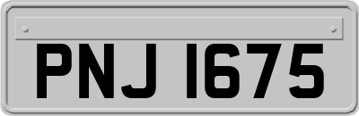PNJ1675