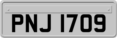 PNJ1709