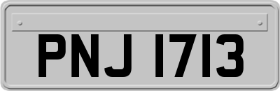 PNJ1713