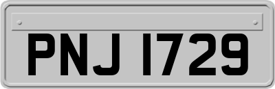 PNJ1729