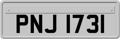 PNJ1731