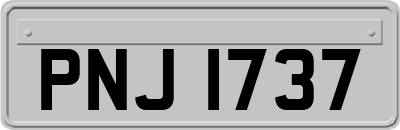 PNJ1737