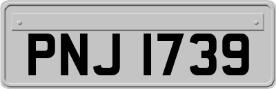 PNJ1739