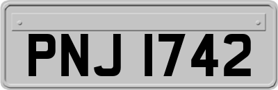 PNJ1742