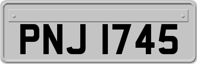 PNJ1745
