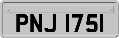 PNJ1751
