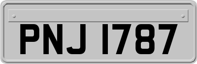 PNJ1787