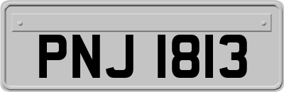 PNJ1813
