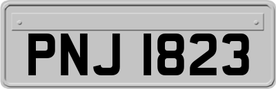 PNJ1823