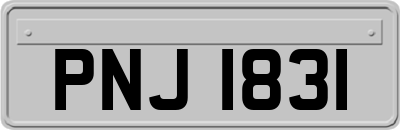 PNJ1831