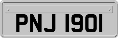 PNJ1901