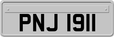 PNJ1911