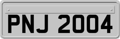 PNJ2004