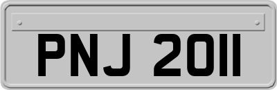 PNJ2011
