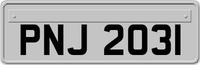 PNJ2031