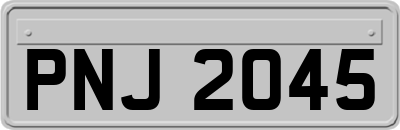 PNJ2045