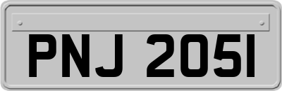 PNJ2051