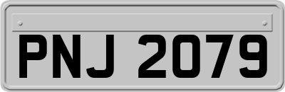 PNJ2079