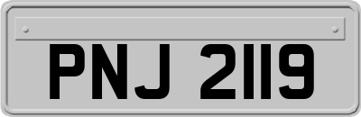 PNJ2119