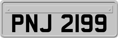 PNJ2199