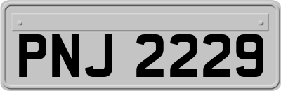 PNJ2229