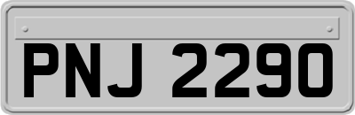 PNJ2290