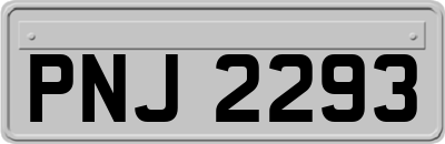 PNJ2293