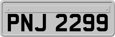 PNJ2299