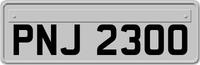 PNJ2300