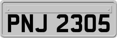 PNJ2305