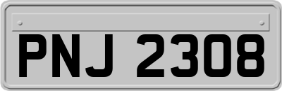 PNJ2308