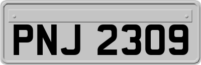 PNJ2309