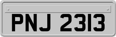 PNJ2313