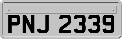 PNJ2339