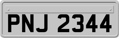 PNJ2344