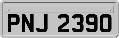 PNJ2390