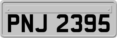 PNJ2395