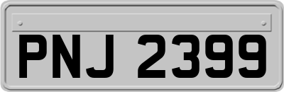 PNJ2399