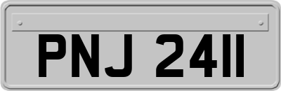 PNJ2411