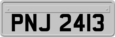 PNJ2413