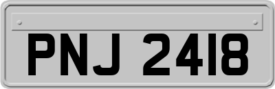 PNJ2418