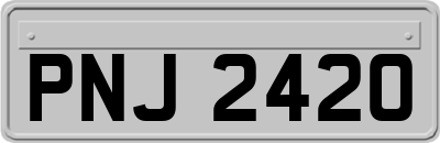 PNJ2420