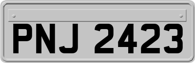 PNJ2423