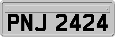 PNJ2424