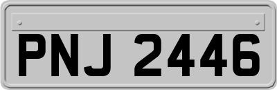 PNJ2446