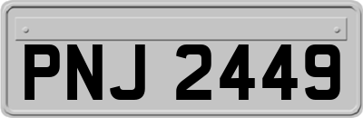 PNJ2449